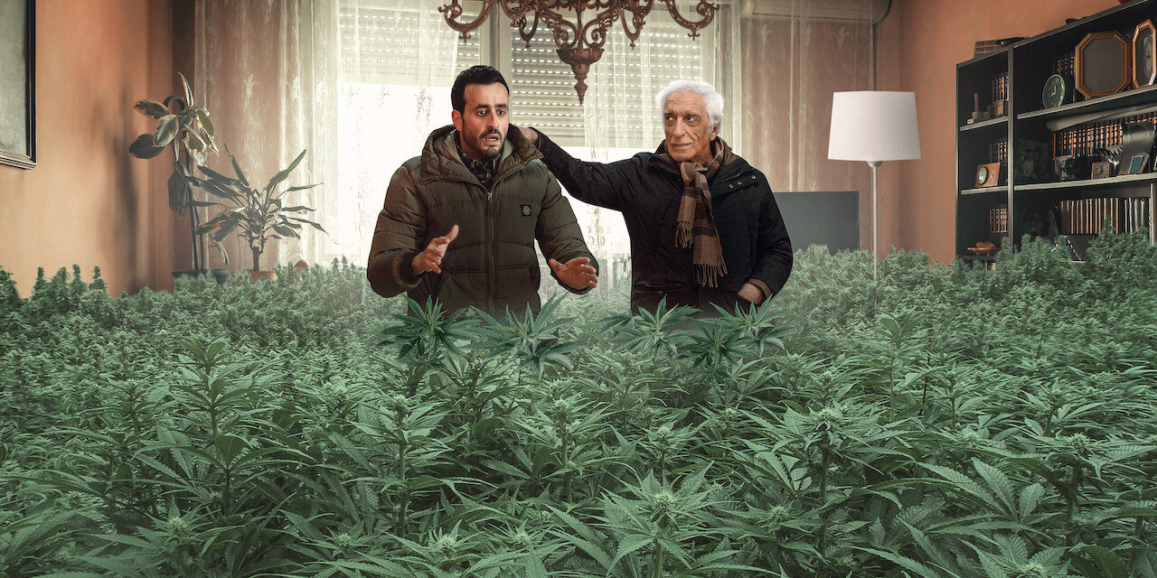 Family Business : la famille Hazan de retour en octobre pour une saison 3 !