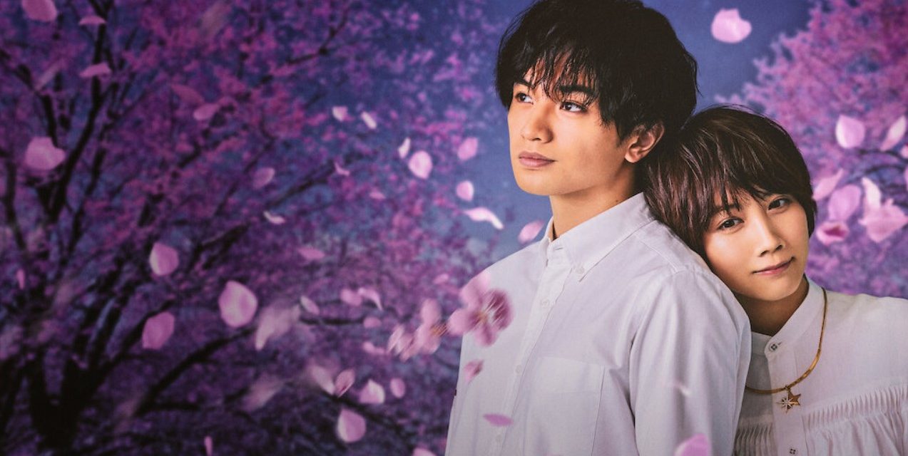 Love Like the Falling Petals : une émouvante romance à découvrir en mars sur Netflix
