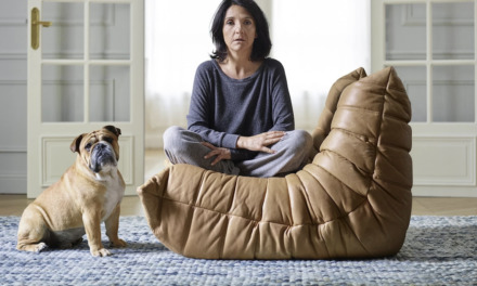 Désordres : que pensent les internautes de la série de Florence Foresti actuellement sur Canal + ? (Avis)