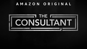 The Consultant - Série (Saison 1)