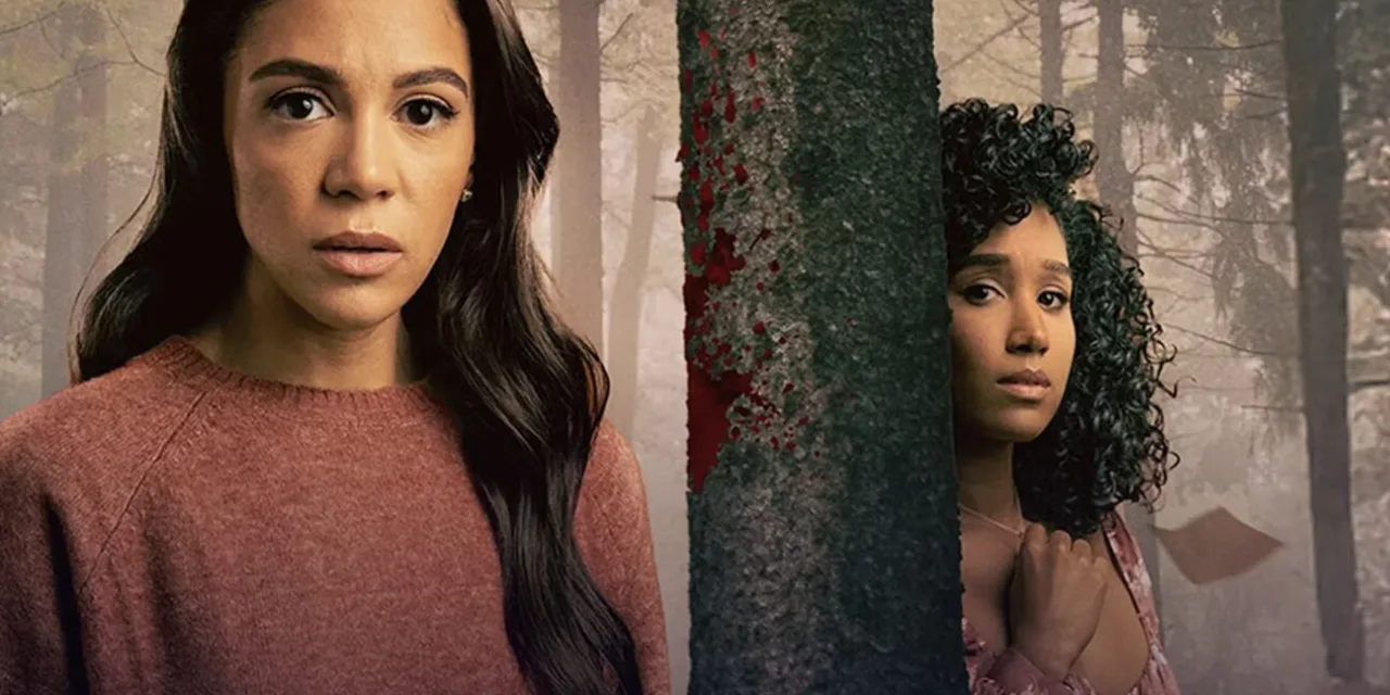 Où revoir Le journal de ma mort, téléfilm diffusé cet après-midi sur TF1 ?