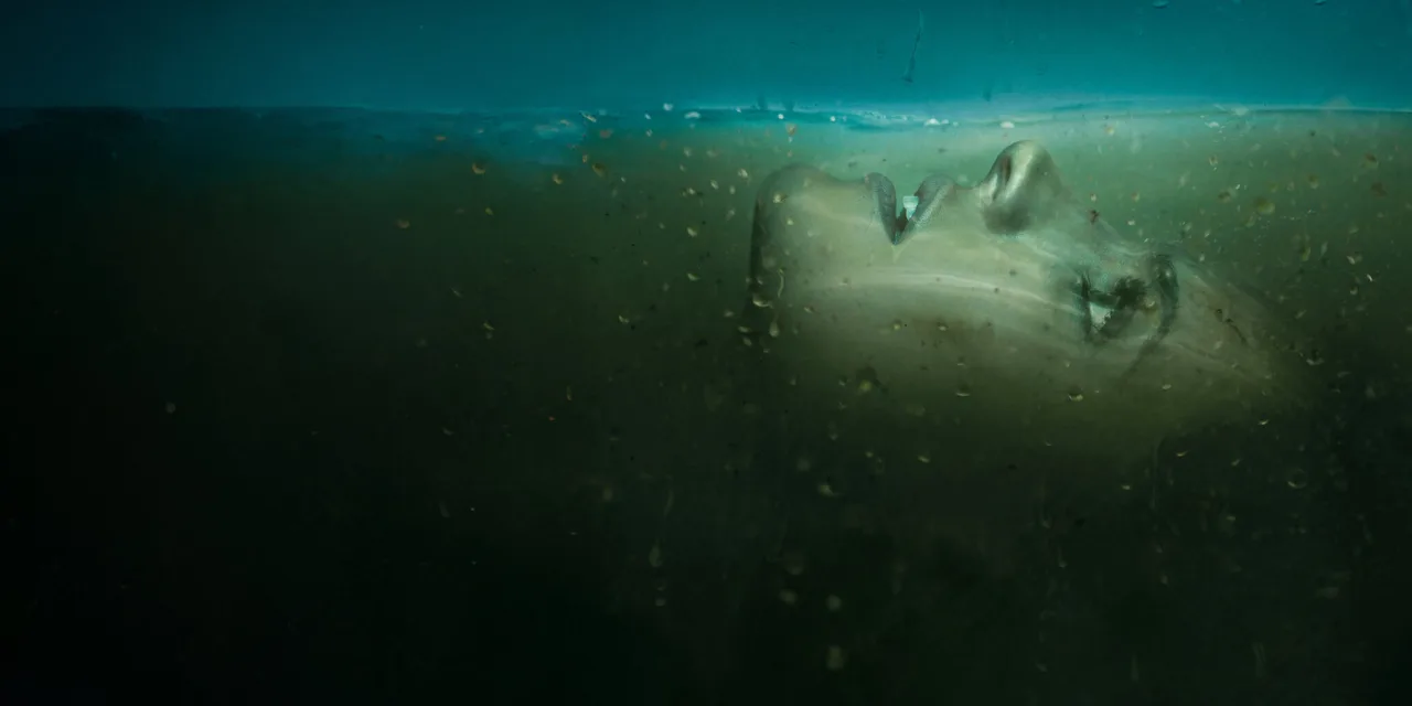 Absentia : Stana Katic revient sur Netflix dans ce drame psychologique à redécouvrir dès maintenant