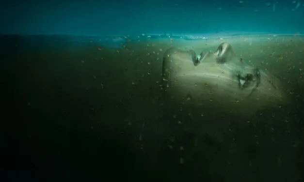 Absentia : Stana Katic revient sur Netflix dans ce drame psychologique à redécouvrir dès maintenant