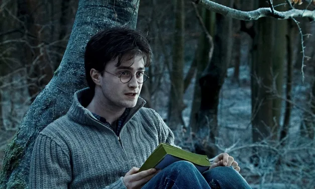 TF1 programme Harry Potter et les Reliques de la Mort Partie 1 : guide complet (horaires, intrigue, etc.)