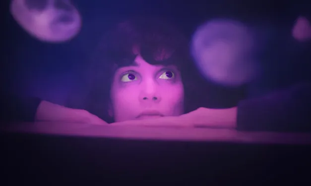 Extra-lucide : quand seront diffusés les prochains épisodes de la série OCS ?