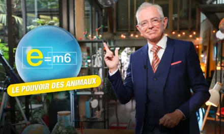 E=M6 : toiles d’araignées, odorat des chiens, quand les animaux dépassent les capacités humaines