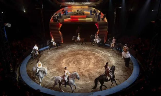 Les Folies Gruss, 50 ans à Paris : un anniversaire célébré sous le chapiteau sur France 4