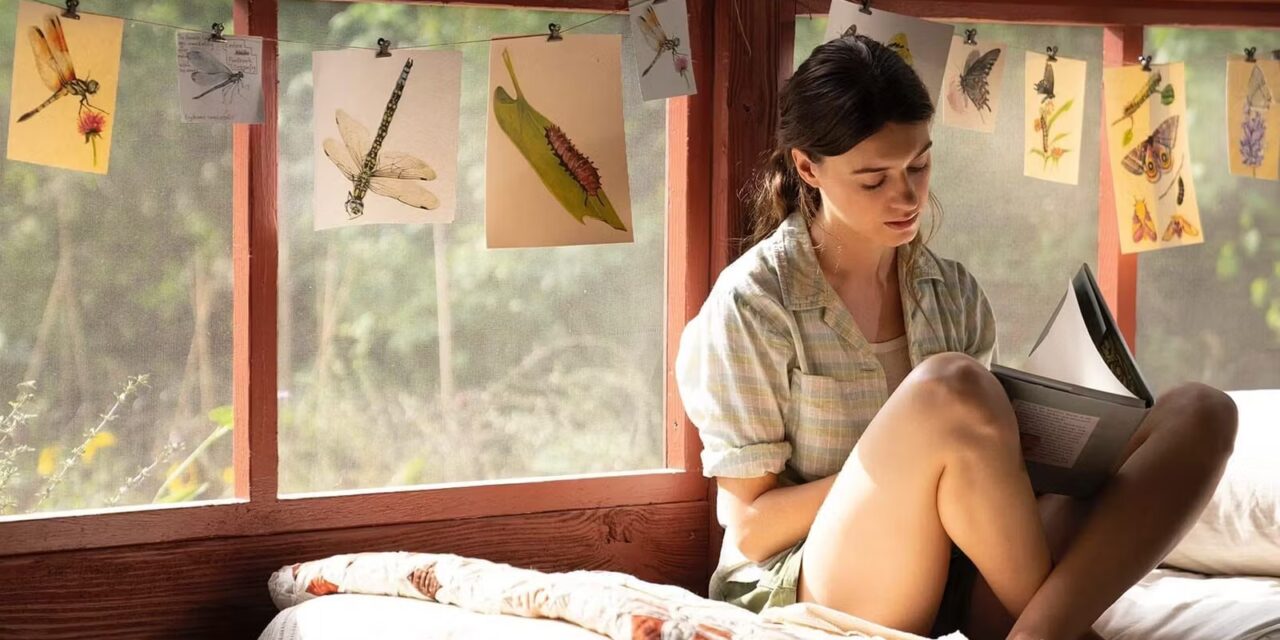 Là où chantent les écrevisses : le thriller américain diffusé sur TF1 et déjà présent sur Netflix