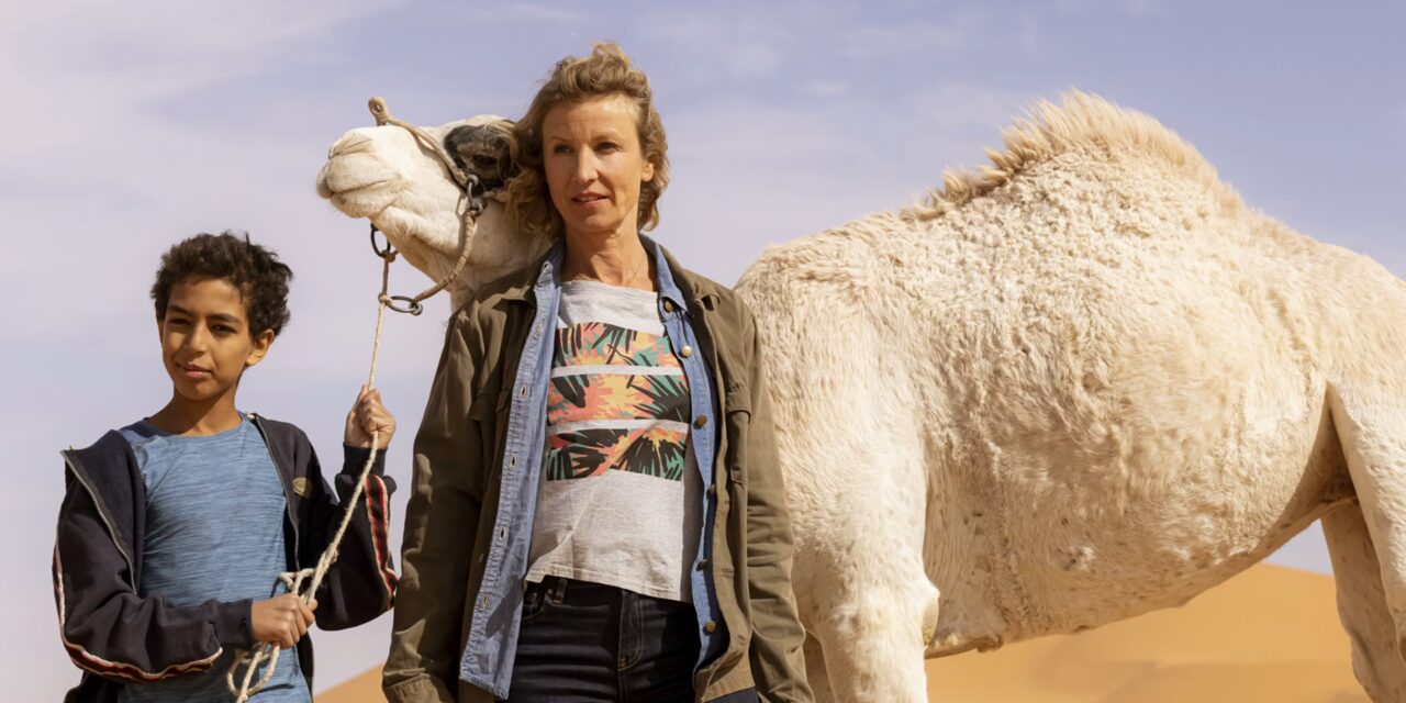 Zodi et Téhu sur M6 : l’aventure saharienne qui réunit toute la famille