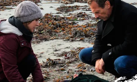 Les blessures de l’île : le téléfilm policier avec Stéphane Freiss diffusé le 19 février sur France 3