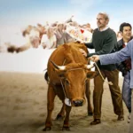 La vache : le road movie de Mohamed Hamidi diffusé le 23 février sur France 3