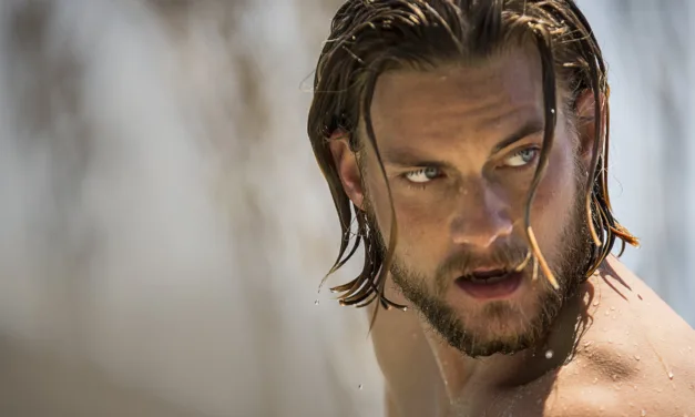 Animal Kingdom cartonne sur Netflix : la série s’impose dans le top 10 dès son arrivée