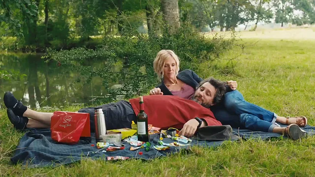 Comme un avion : la comédie de Bruno Podalydès diffusée le 11 mars sur Arte, est-elle disponible sur Netflix ?