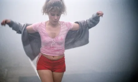 Darling : le drame porté par Marina Foïs diffusé ce soir sur France 4, est-il disponible sur Netflix ?