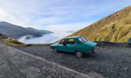 Du sang sur la forêt : un thriller entre disparition et secrets au cœur des Carpates ce soir sur Arte