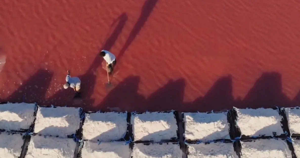 Des racines & des ailes : un voyage en Provence du pays d’Aix à la Camargue le 25 mars sur France 3