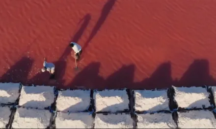 Des racines & des ailes : un voyage en Provence du pays d’Aix à la Camargue le 25 mars sur France 3