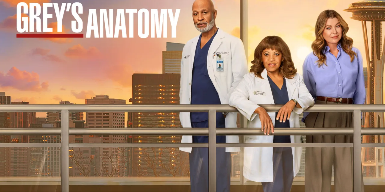 Grey’s Anatomy saison 22 : ce que réserve l’épisode Ondes de choc sur TF1 le 15 avril