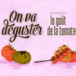 On va déguster : François-Régis Gaudry part à la recherche du vrai goût de la tomate sur France 5