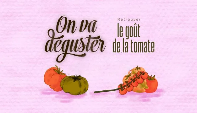 On va déguster : François-Régis Gaudry part à la recherche du vrai goût de la tomate sur France 5
