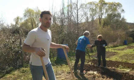 Enquête de santé (France 5) : pourquoi la nature pourrait devenir une alliée précieuse pour notre santé