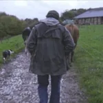 Violence dans les champs : le documentaire de France 5 qui interroge la face sombre du modèle agricole français
