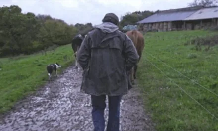 Violence dans les champs : le documentaire de France 5 qui interroge la face sombre du modèle agricole français