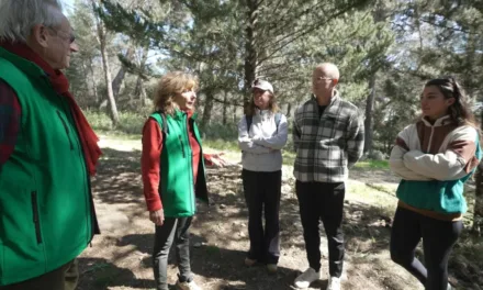 Les pouvoirs insoupçonnés de la nature : France 5 explore les effets du vivant sur notre santé