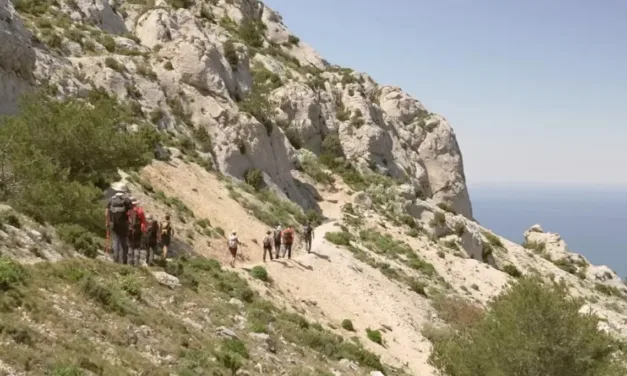 La randonnée, une affaire qui marche : France 5 explore la nouvelle passion sportive des Français