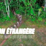Légion étrangère : un mois au cœur de l’enfer vert sur W9, 35 soldats face à la jungle amazonienne