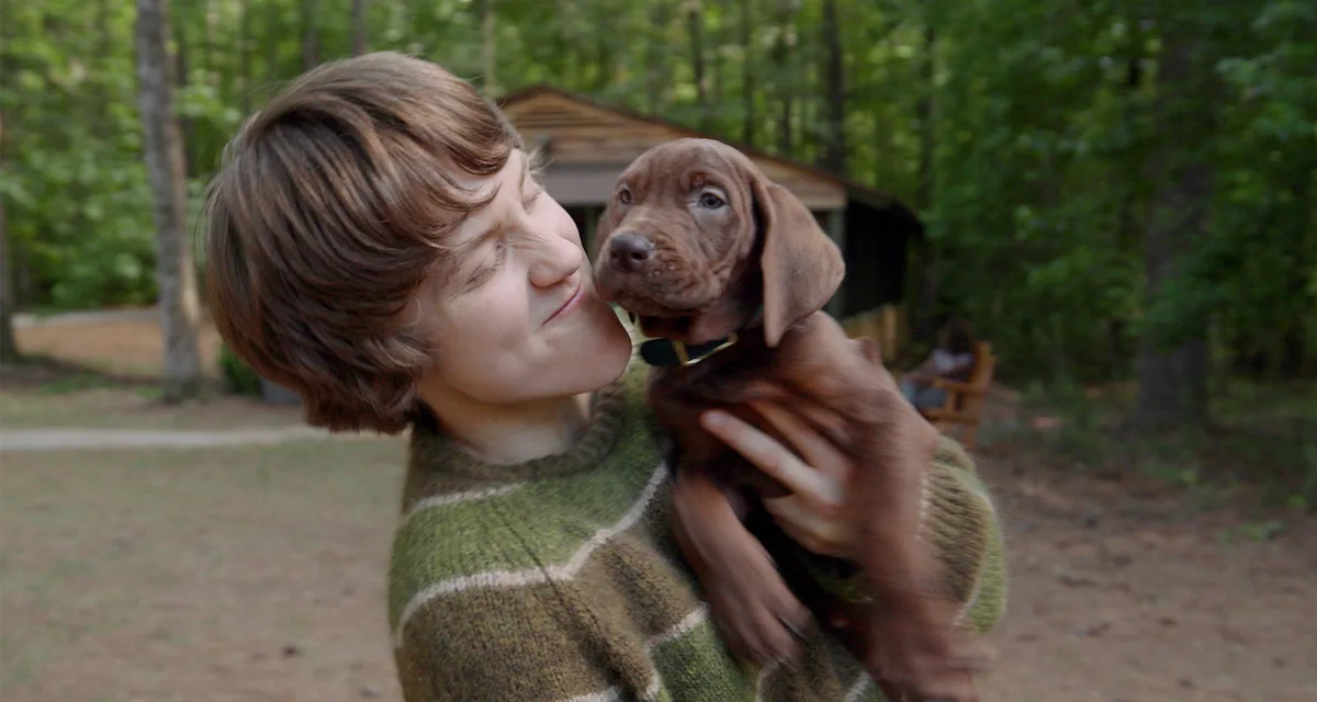 Scooby-Doo arrive sur Netflix : la série Origins dévoile un vrai chien pour incarner Scooby