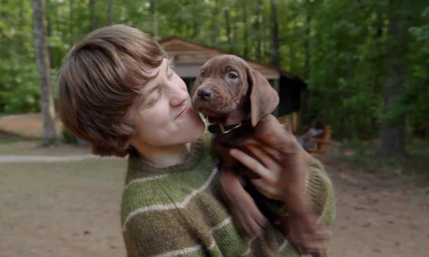 Scooby-Doo arrive sur Netflix : la série Origins dévoile un vrai chien pour incarner Scooby
