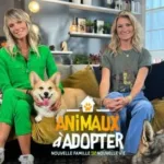 Animaux à adopter sur TMC : les refuges de la SPA au cœur d’un nouvel épisode inédit