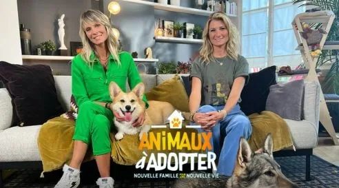 Animaux à adopter sur TMC : les refuges de la SPA au cœur d’un nouvel épisode inédit
