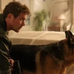 Hudson et Rex sur France 3 : ce que réservent les épisodes 5, 6, 7 et 8 diffusés ce dimanche 28 juin
