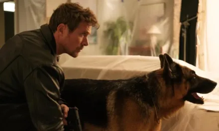 Hudson et Rex sur France 3 : ce que réservent les épisodes 5, 6, 7 et 8 diffusés ce dimanche 28 juin