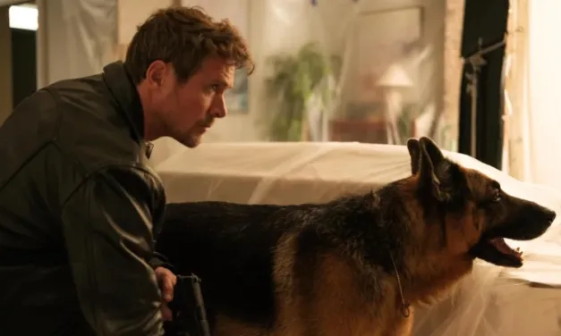 Hudson et Rex sur France 3 : ce que réservent les épisodes 5, 6, 7 et 8 diffusés ce dimanche 28 juin