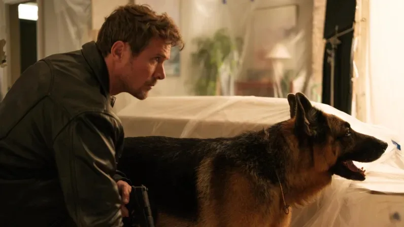 Hudson et Rex sur France 3 : ce que réservent les épisodes 5, 6, 7 et 8 diffusés ce dimanche 28 juin