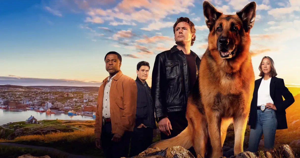 Hudson & Rex saison 7 sur France 3 : le duo policier revient avec de nouvelles enquêtes à Terre-Neuve