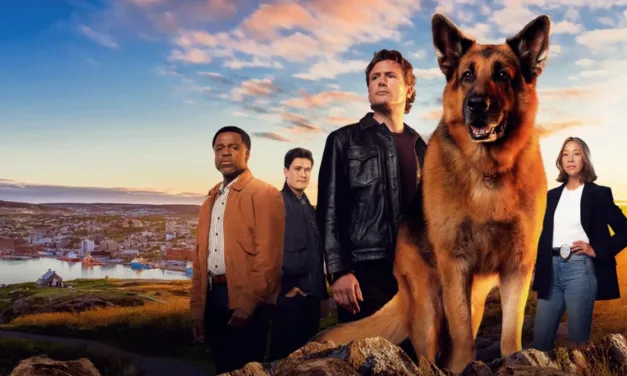 Hudson & Rex saison 7 sur France 3 : le duo policier revient avec de nouvelles enquêtes à Terre-Neuve