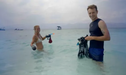 Coraux : l’incroyable voyage : Hugo Clément enquête sur les récifs français menacés sur France 5