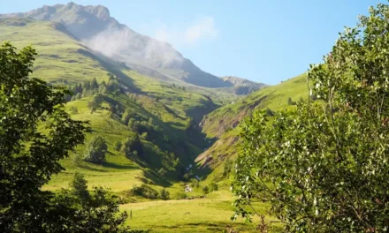 Pyrénées, alerte venue des sommets sur France 5 : Sale temps pour la planète observe la fin annoncée des glaciers