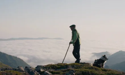 Le Berger et les ours sur Netflix : quand voir le documentaire en streaming ?