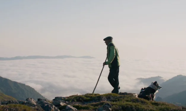 Le Berger et les ours sur Netflix : quand voir le documentaire en streaming ?