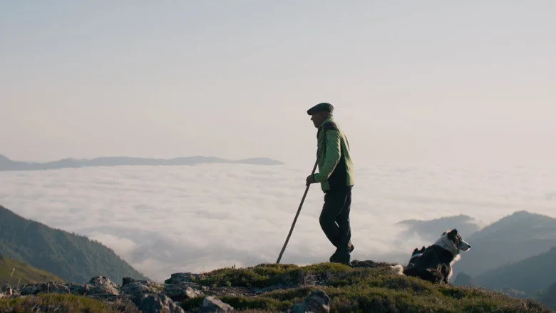 Le Berger et les ours sur Netflix : quand voir le documentaire en streaming ?