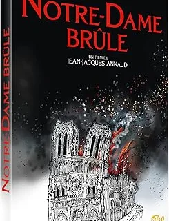 Notre-Dame brûle (DVD)