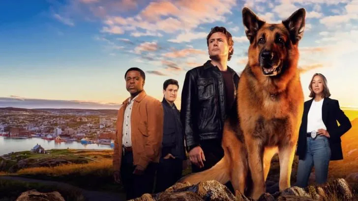 Hudson & Rex sur France 3 : une soirée d’enquêtes pour conclure la saison 7