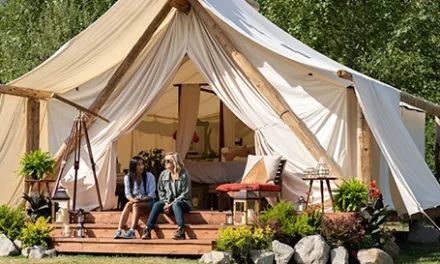 Love & Camping chic sur TF1 : une journaliste citadine découvre le glamping le 13 juillet (téléfilm)