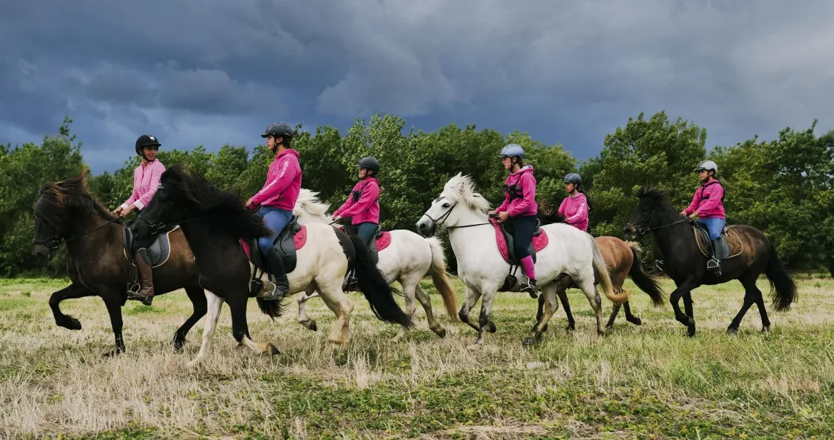 Au galop ! Une saison à cheval sur France 4 : la saison 6 du phénomène équestre d’Okoo