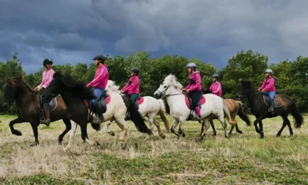 Au galop ! Une saison à cheval sur France 4 : la saison 6 du phénomène équestre d’Okoo